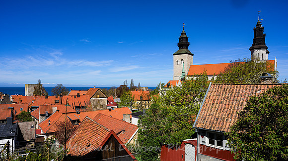 Rooftops of Visby, Sweden