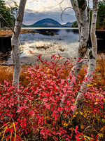 Late Fall Color at Eagle Lake