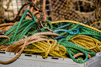 Ropes for Lobster Traps