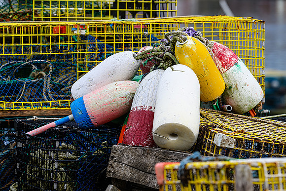 Lobster Buoys