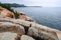 Acadia Landscape Workshop