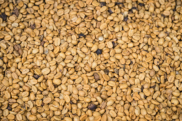 Light Roast Coffee