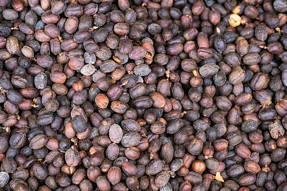 Dark Roast Coffee