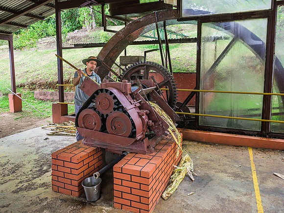Sugar Cane Press