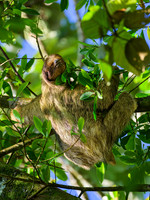 Fortuna and Arenal Volcano Region - Part 3