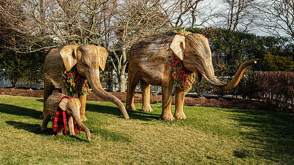 Indian Vine Elephant Sculptures