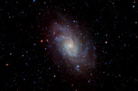 Triangulum Galaxy (M33)