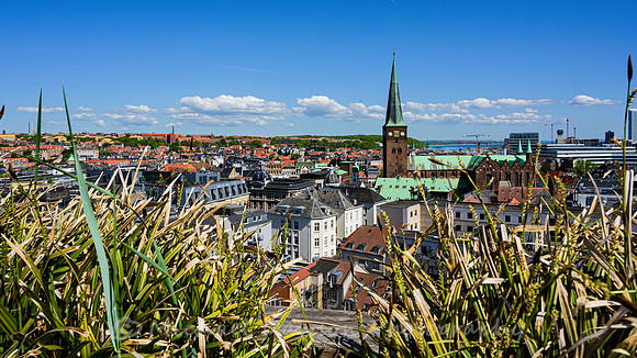 Rooftops and Domkirke of Central Aarhus