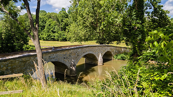 Burnside Bridge