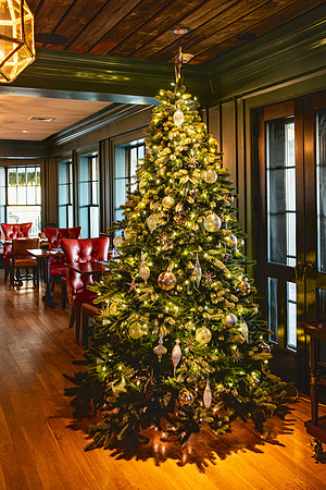 Christmas Tree at Harbor View Hotel