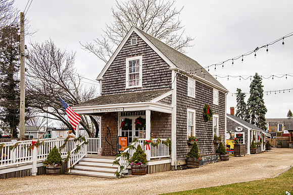 The Black Dog Shops