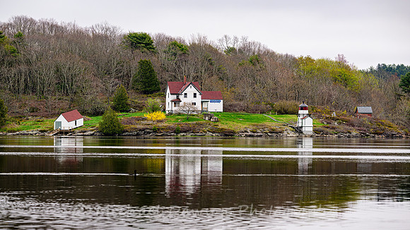 Squirrel Point Light