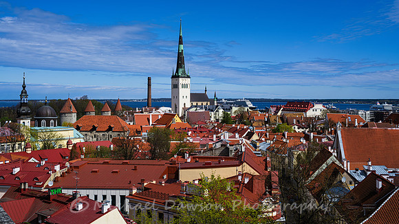 Rooftops of Old Town Tallinn