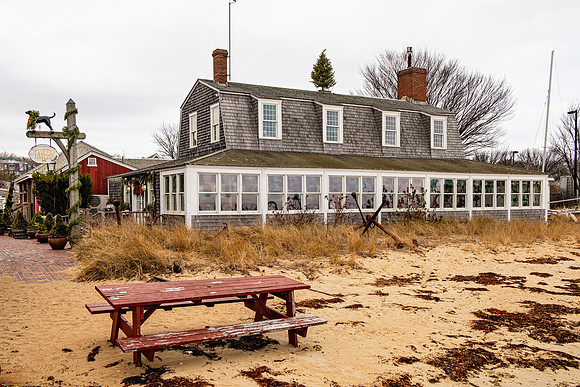 The Black Dog Tavern